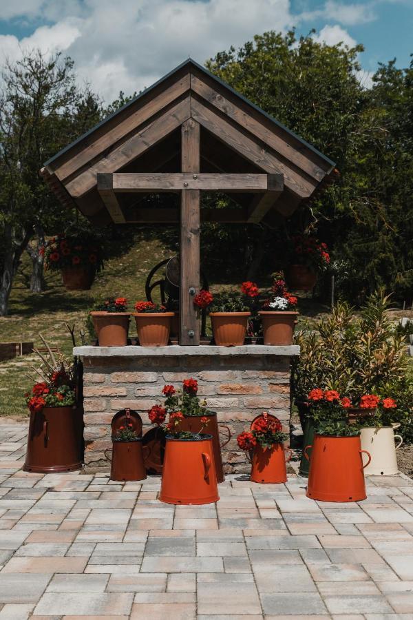 Bed and Breakfast Dreko Panzió&Borbisztró Győrújbarát Zewnętrze zdjęcie
