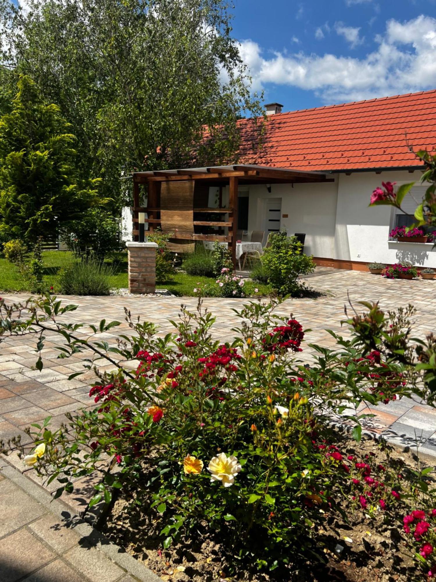 Bed and Breakfast Dreko Panzió&Borbisztró Győrújbarát Zewnętrze zdjęcie